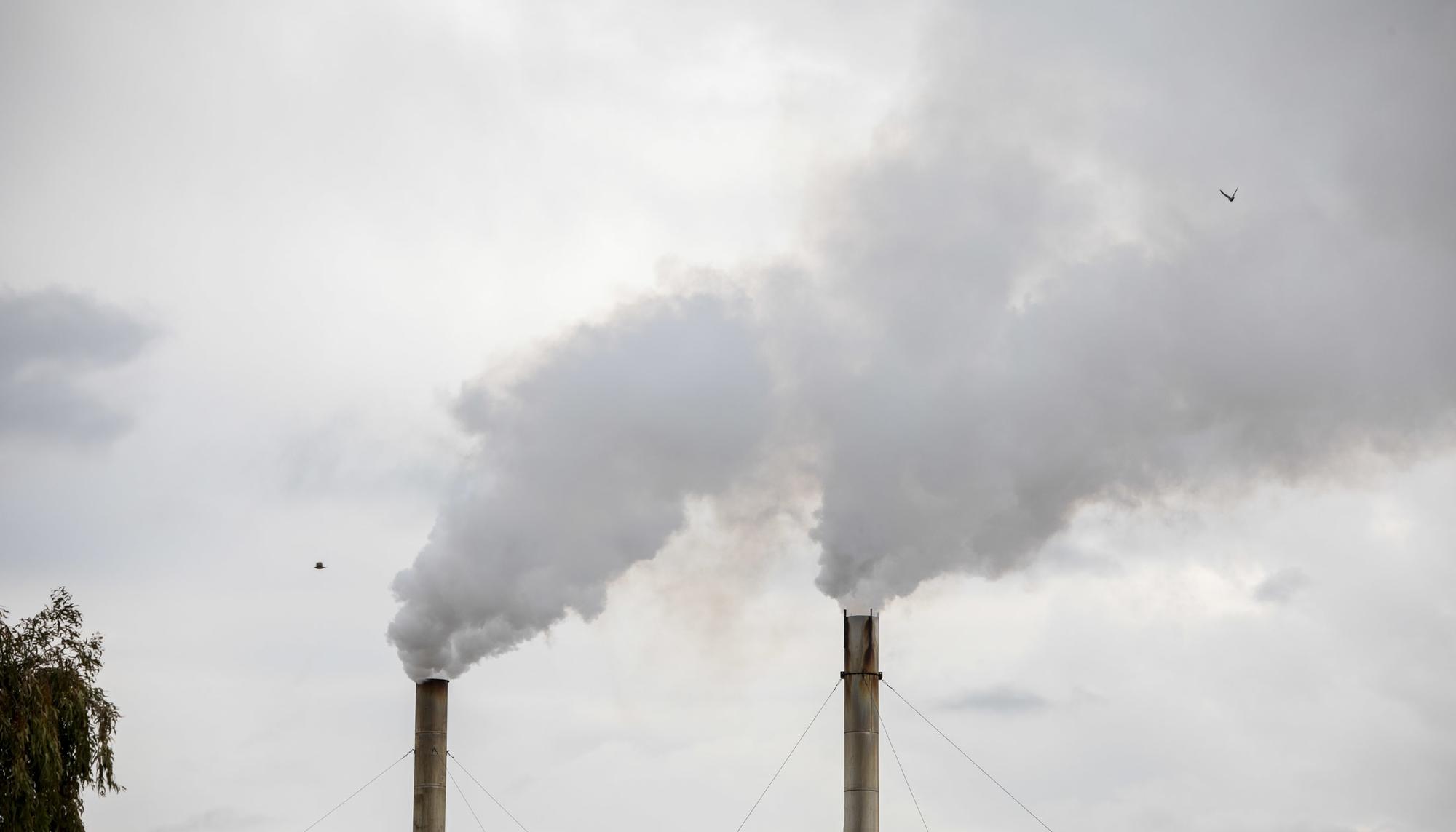 Fabrica Aceite Caceres 2